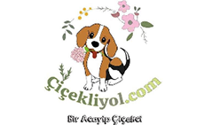 Çiçekliyol - Güvenli Alışveriş - Online Çiçek Siparişi - Çiçek Sepeti-Nöbetçi Çiçekci