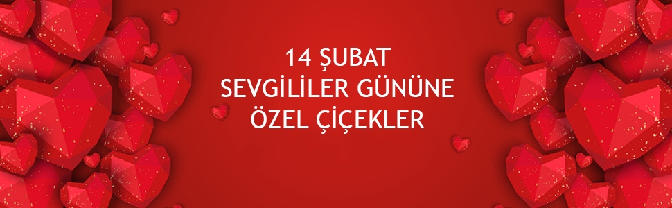 14 Şubat