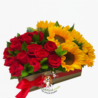 Kare Kutu Günebakan Gül 