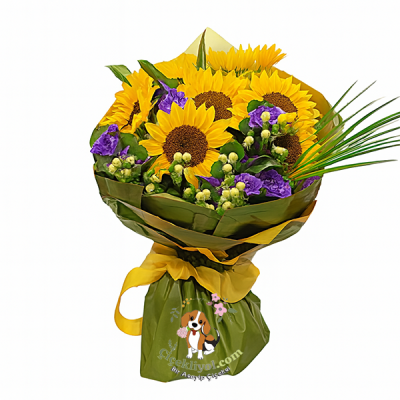 Günebakan Çiçeği