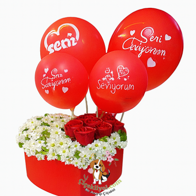 Sevgi Balonu 